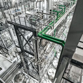 Pharma plant